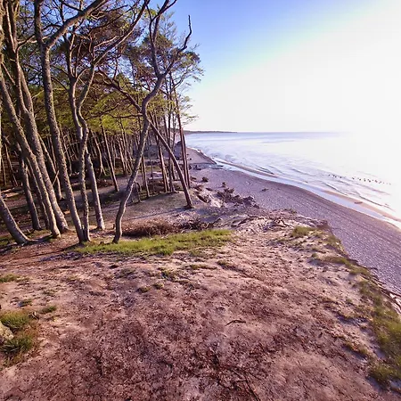 Baltic Barns Berg 別荘 Wytowno